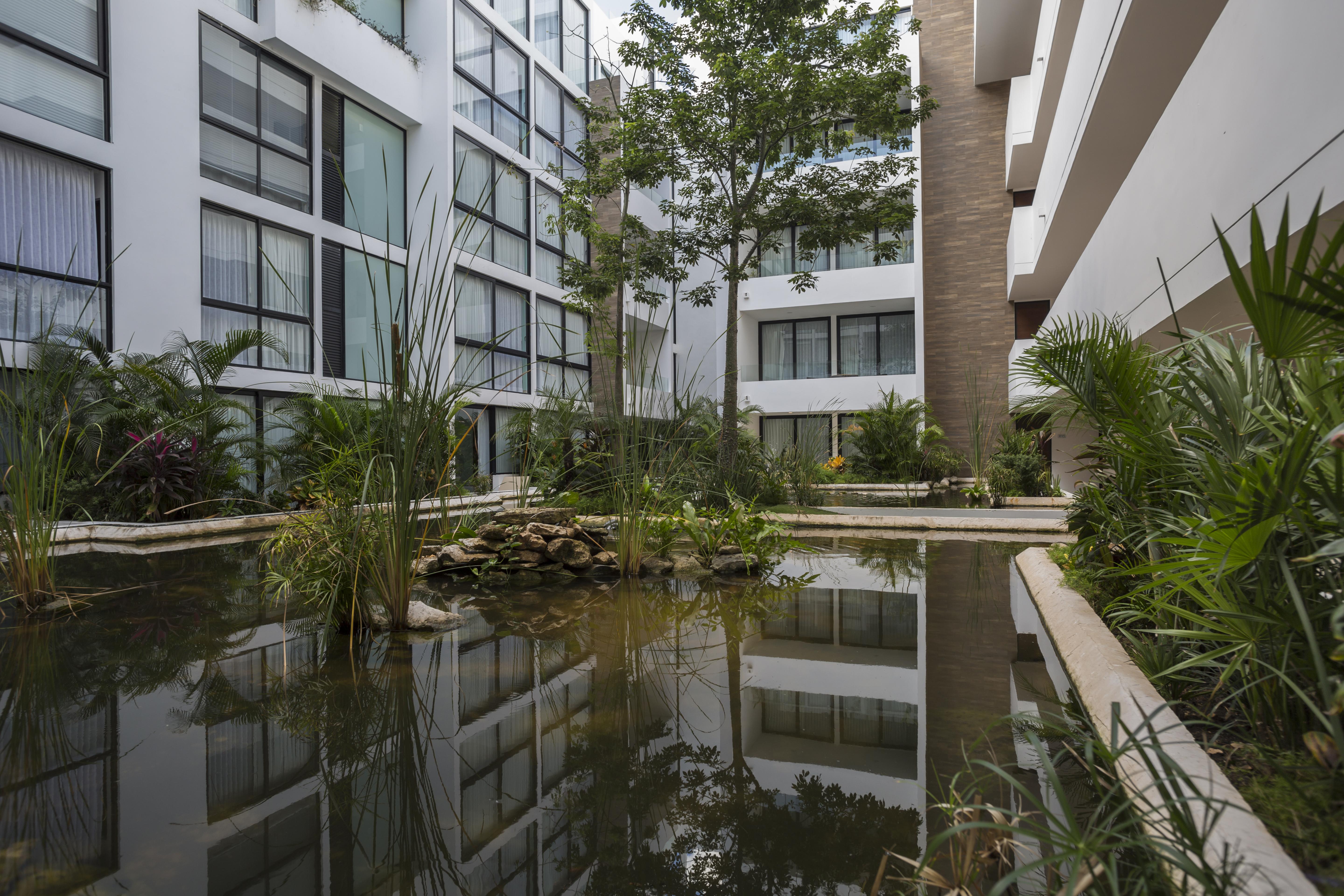 Anah Suites Πλάγια Ντελ Κάρμεν Εξωτερικό φωτογραφία
